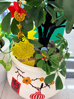 Bescherm binnenplanten tegen schimmelmuggen en fruitvliegen. Fabrieksgroothandel, op maat gemaakte logo's, dubbelzijdige gele kleefvallen.