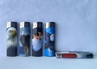 Briquet en plastique à bas prix en gros, 5 couleurs, avec motifs design