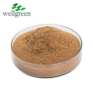 Wellgreen Agrocybe <span class=keywords><strong>Aegerita</strong></span>/Extrait de champignon d'arbre à thé 10%-50% Poudre de polysaccharides - Product Image 3