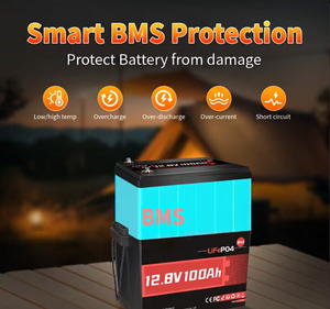 Batterie LiFePO4 mini 12,8 V 100 Ah avec BMS 100 A intégré, sortie de puissance 1280 W pour camping-cars, bateaux, moteurs de traction, systèmes solaires hors réseau - Product Image 5