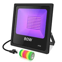 LED Flashing Disco Party Lights for Home, Backyard