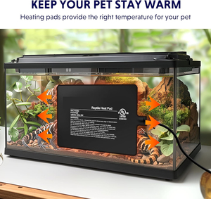 6X8 "8W Reptiel Heat <span class=keywords><strong>Pad</strong></span> Veilig Onder Tank Warmer Voor Kleine Terraria" - Product Image 3