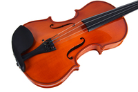 Professional Solid Wooden 4/4 Violin with Free Violin Accessories