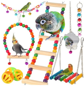 Custom Groothandel Eco-Vriendelijke Houten Kleurrijke Vogel Speelgoed Set Papegaai <span class=keywords><strong>Preening</strong></span> Foerageer Speelgoed Grote Papegaai Ara Gray Papegaai Speelgoed - Product Image 4