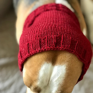 Y-Z Dệt Kim Snood Cho Tai Dài Chó Basset Hound <span class=keywords><strong>Beagle</strong></span> Spaniel Snood Hat Cho Vật Nuôi Chó - Product Image 2