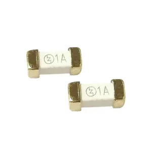 Ersatz LF SMD-Sicherungen 2410 1808 6125 Oberflächen montierter Chip 100mA-40A 63V-300V