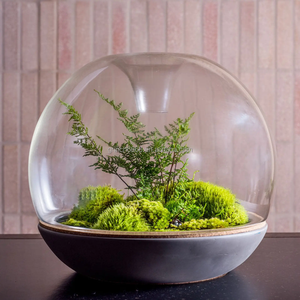 Terrario Vaso Mouthblown Geometrica Borosilicato <span class=keywords><strong>di</strong></span> <span class=keywords><strong>Vetro</strong></span> Piante Terrario Vaso <span class=keywords><strong>di</strong></span> <span class=keywords><strong>Vetro</strong></span> - Product Image 4