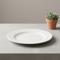 Ensemble d'assiettes plates en mélamine - Assiettes en plastique blanches pour restaurant, hôtel, traiteur et usage domestique quotidien