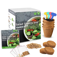 Kit de démarrage pour jardin intérieur, écologique, biodégradable, kit de plantation DIY pour la cuisine, pots à fleurs en carton brun chromé