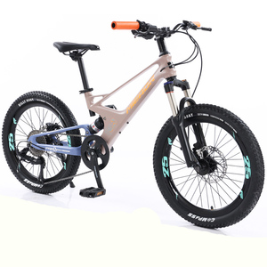 Istaride China Oem Wholesale 12 Speed Disc Aluminum Suspension Fork 20" Wheel Ns-sd019 Kids Bike - Product Image 4