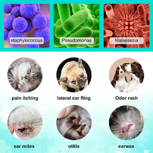 <span class=keywords><strong>Traitement</strong></span> anti-acariens pour chiens et chats sous marque privée, Gouttes pour l'infection auriculaire, Gouttes nettoyantes pour les oreilles des animaux avec aloe vera apaisant - Product Image 4