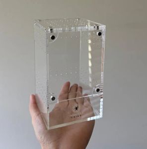 <span class=keywords><strong>Cage</strong></span> à araignées sauteuses en acrylique de petite taille avec logo et taille personnalisés - Product Image 3