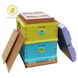 养蜂设备最新塑料热蜂巢养蜂设备蜜蜂蜂箱10架