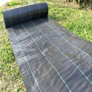 Tapis <span class=keywords><strong>plastique</strong></span> anti-mauvaises herbes tissé PP couverture de sol pour l'agriculture - Product Image 2