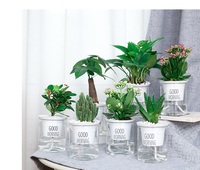 Flower DEEPBANG Indoor Office Round Hydroponic Transparent Clear Planter Self Watering Plastic Flower Plant Pots