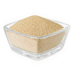 Isolat de protéines de levure de qualité supérieure, haute pureté, 100 % ingrédient végétal pur pour les formulations protéinées à étiquette claire - Product Image 1