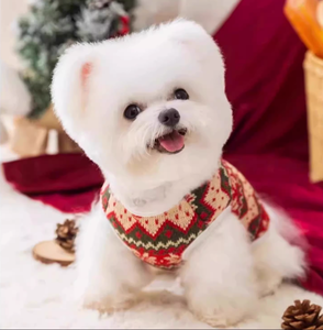 Herbst Winter 3D Bär Weihnachten Katzen-Stil Gestrickter Pullover für Hunde Niedliche Flanell Haustier Teddy Warme Kleidung Waschbar Bequem - Product Image 2