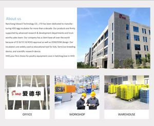 HHD ตู้ฟักไข่ไก่ขนาดเล็กดีไซน์หรูหรา,อุปกรณ์สำหรับฟักไข่ปลา - Product Image 5