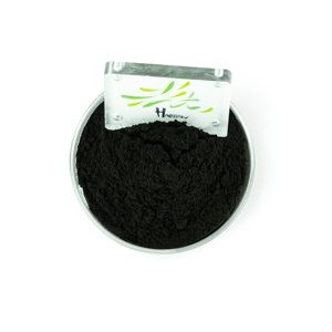 Ekstrak Minyak Blackcurrant Kelas Makanan Bubuk Rasa Blackcurrant dalam Kemasan Drum 35% HPLC - Product Image 1