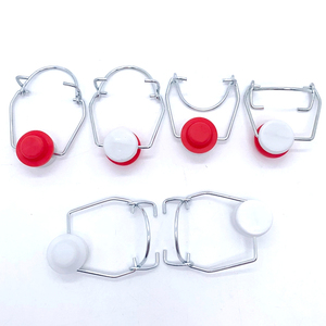 Vente en gros Bouteilles en verre scellées à boucle pivotante de 150ml 200ml 300ml 500ml 1l 1000ml Bocal en verre - Product Image 5