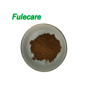 Natural Bulk Antrodia Camphorata Extract Powder - Product Image 2