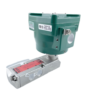 NFET8551A309MO โซลินอยด์กันระเบิด24DC โซลินอยด์กันระเบิด - Product Image 2