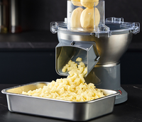 Groente- en fruit snijmachine Aardappel Wortel Tomaat Mango Appel Snijmachine Kokosnoot Snijmachine