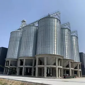 Hopper bottom Qualified 10000 T Fabricated storage Silo for farms