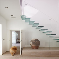 Escaliers flottants pour escaliers de maison en verre, modèle, prix d'écolier