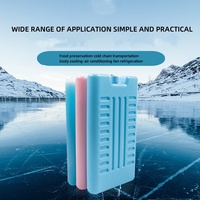 Briques de glace portables en HDPE packs de glace en plastique écologiques pour refroidir les boîtes à lunch des aliments Camping en plein air canettes de vin congélateur sûr