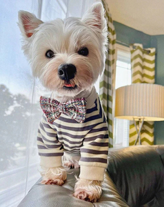 Abbigliamento Invernale Casual per Cani <span class=keywords><strong>di</strong></span> <span class=keywords><strong>Piccola</strong></span> e Media <span class=keywords><strong>Taglia</strong></span>, Felpa a Righe in Cotone Moderna e Carina per Cuccioli - Product Image 3