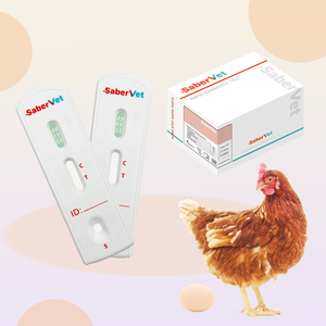 Vendita calda e facile da usare Virus dell'influenza aviaria H5 antigene Test rapido AIV H5 Ag Kit di test veloce per veterinario - Product Image 1
