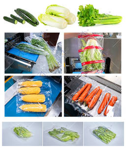 Mesin Pengemas Sayuran dan Buah Segar Otomatis Autompack ATM-600X dengan Motor Servo untuk Kemasan Kulit Buah seperti Semangka dan Buah-buahan Lainnya - Product Image 6