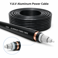 Câble en aluminium basse tension YJLV nu 1*0,5 mm Classe C ignifuge IP44 pour appareils électroménagers et câblage automobile
