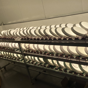 Giảm Giá Mạnh Cảm Biến Ánh Sáng Chuyển Động Ip65 Đèn Trần <span class=keywords><strong>Led</strong></span> Vách Ngăn Khẩn Cấp Chống Trộm Kèm Cảm Biến Vi Sóng Cho Ban Công - Product Image 5