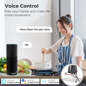 Temporizador de agua inteligente para jardín, resistente al agua, con control remoto por aplicación, para el hogar, escuela, fábrica, fácil instalación, válvula de plástico - Product Image 3