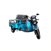 800W 48V60v tricycle de fret électrique 1.2 plaque d'acier épaisse