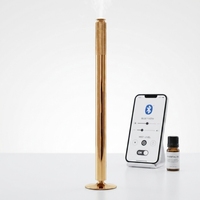 Diffuseur d'arômes d'huiles parfumées sans eau, écologique, 100 ml, contrôle intelligent par application, chargement USB, pour la maison, garantie 1 an