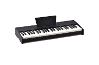 Upright Style Electronic Piano PVC Keyboard Titanium Alloy Stand Built Speakers Power Adapter Stickers Beginner Gift 49 Keys