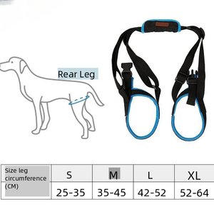 Harnais de soutien pour pattes arrière de chien, avec bouton solide, sangle de levage réglable, poignée, en polyester bleu, aide à la mobilité pour chiens âgés, handicapés, de grande taille - Product Image 5