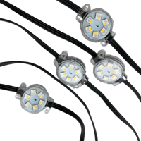 Módulo de píxeles LED de 30mm de diámetro, IP68, 1,8 W, carcasa plana transparente de alambre negro, luces de punto LED, DC24V, 20 unidades