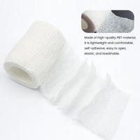 Bandage élastique flexible auto-adhésif respirant à la chlorhexidine jetable LTB Marque 2,5 cm X 4 m Unisexe