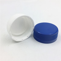 Usine OEM personnalisé 32mm grand bleu inviolable en plastique PP bouchon de bouteille de boisson fabricant/vente en gros
