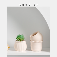 Pot de fleurs en céramique pour plantes succulentes, style jardin domestique, vente en gros, finition émaillée, trou de drainage, écologique, durable