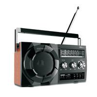 Tragbarer drahtloser BT Lautsprecher batteriebetriebener Ac-Strom Dsp Stecker Am Fm Radio mit bestem Empfang