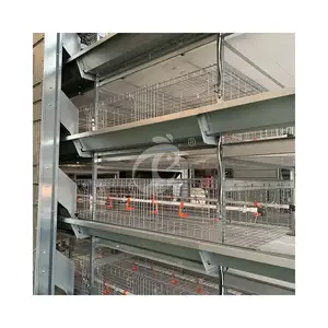 Schichten Käfig 20000 Hühner Geflügelfarm Automatische Hühner käfige Geflügel Schicht Käfig Geflügel