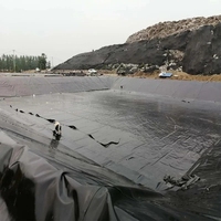 En gros personnalisé noir HDPE revêtement d'étang feuille de plastique élevage étang barrage ferme revêtement géomembrane hdpe pour poissons crevettes piscine
