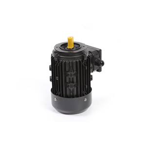 YE3-Three-Phase AC động cơ không đồng bộ 380V - Product Image 6