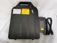 Batterie au Lithium 60V 20Ah 30Ah 3000W Coque ABS Amovible pour Scooter Citycoco et Kit de Conversion E-bike