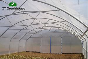 Invernadero de un Solo Tramo con Acero Galvanizado - Product Image 2